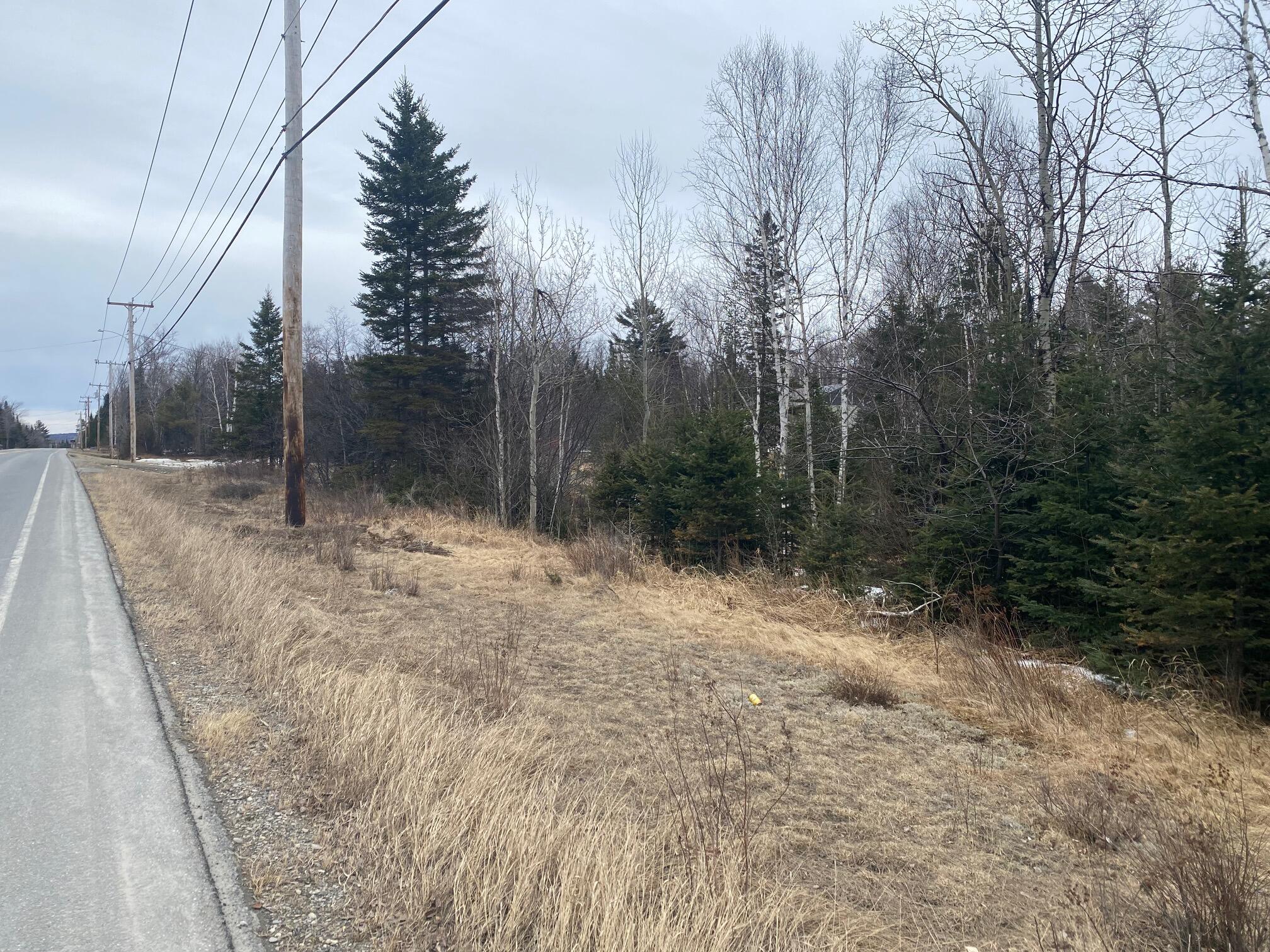 171 Long Pond Road Jackman, ME 04945 - Photo 14 of 14 IMG_2597