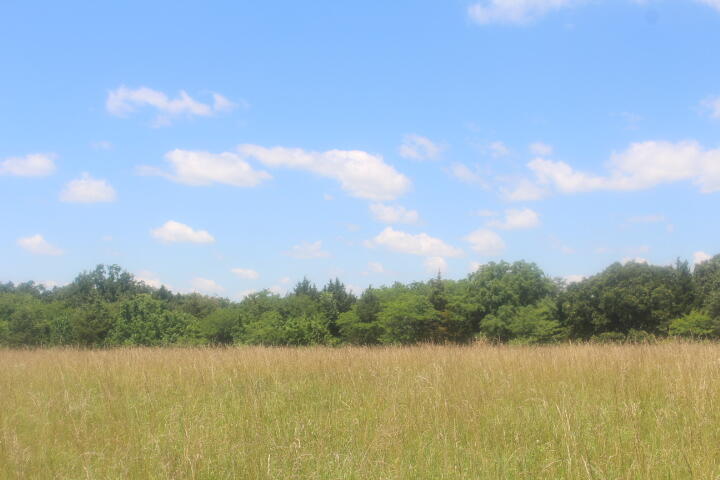 3176 South 170th Road Bolivar, MO 65613 - Photo 33 of 63 IMG_7585