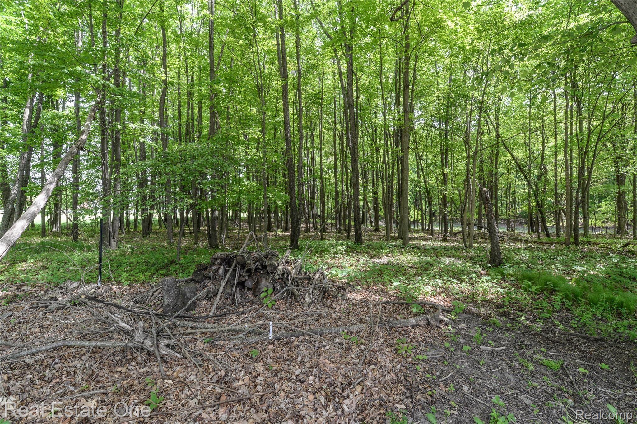 19373 Spears Road Gregory, MI 48137 - Photo 42 of 42 DSC_3206.jpg