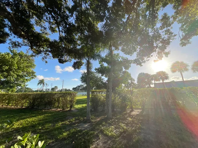 a view of backyard of the house