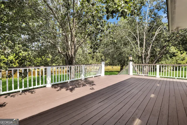a view of a garden from a patio