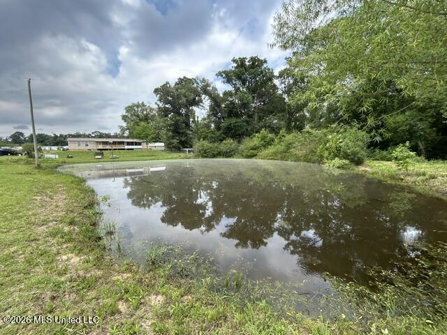 2096 Swilley Road Wesson, MS 39191 - Photo 75 of 86 IMG_4350