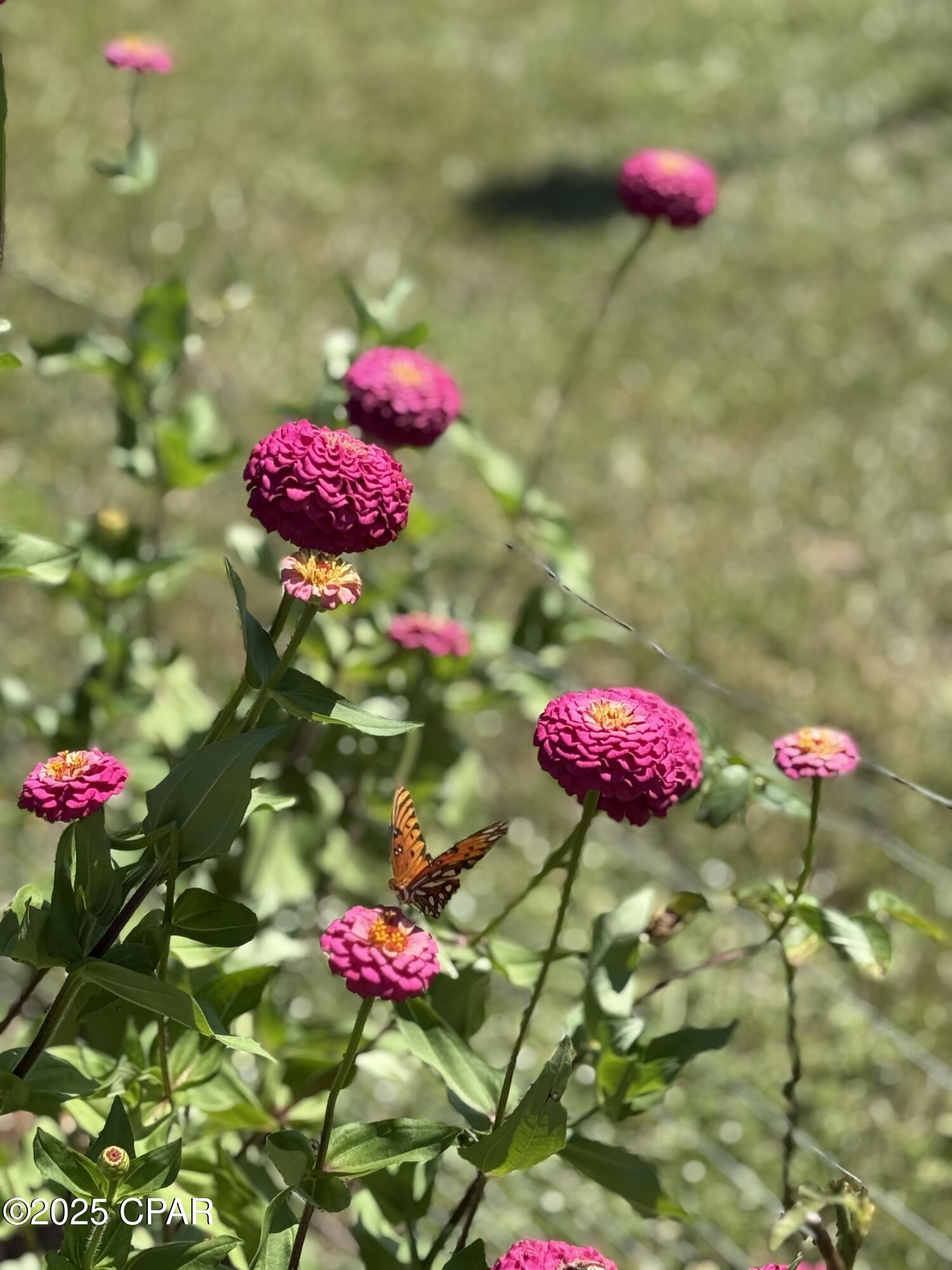 3380 Caverns Road Marianna, FL 32446 - Photo 27 of 39