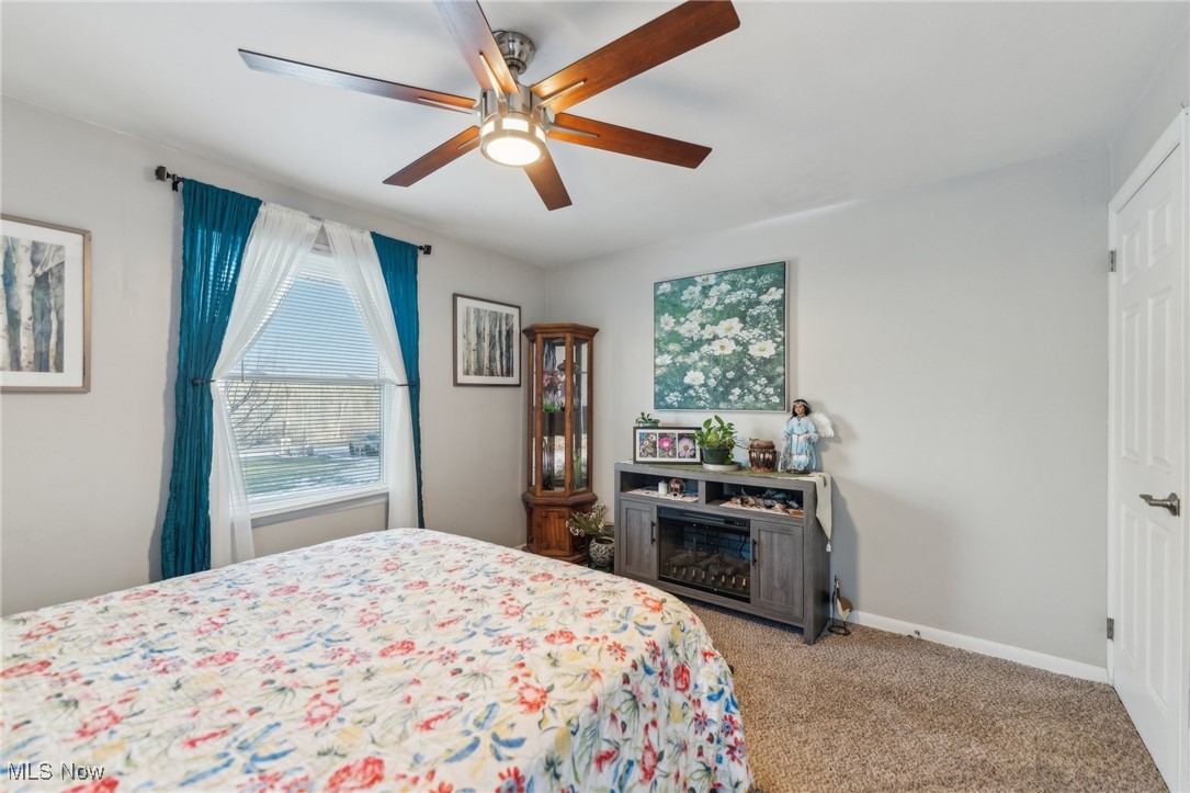 3885 Shields Road Canfield, OH 44406 - Photo 5 of 38 Bedroom with carpet flooring, a ceiling fan, and a glass covered fireplace