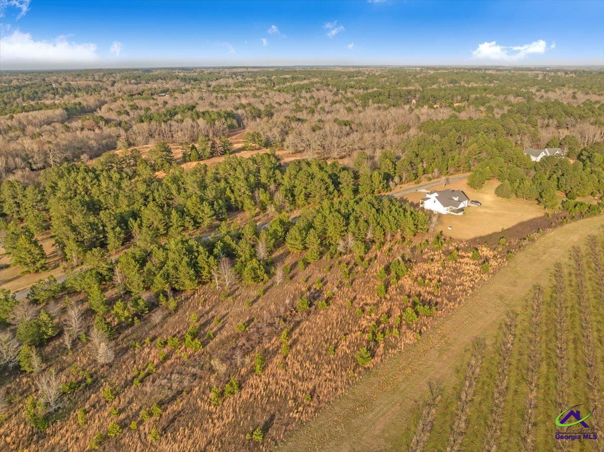 0 Woodland Trail Road Cochran, GA 31014 - Photo 13 of 20