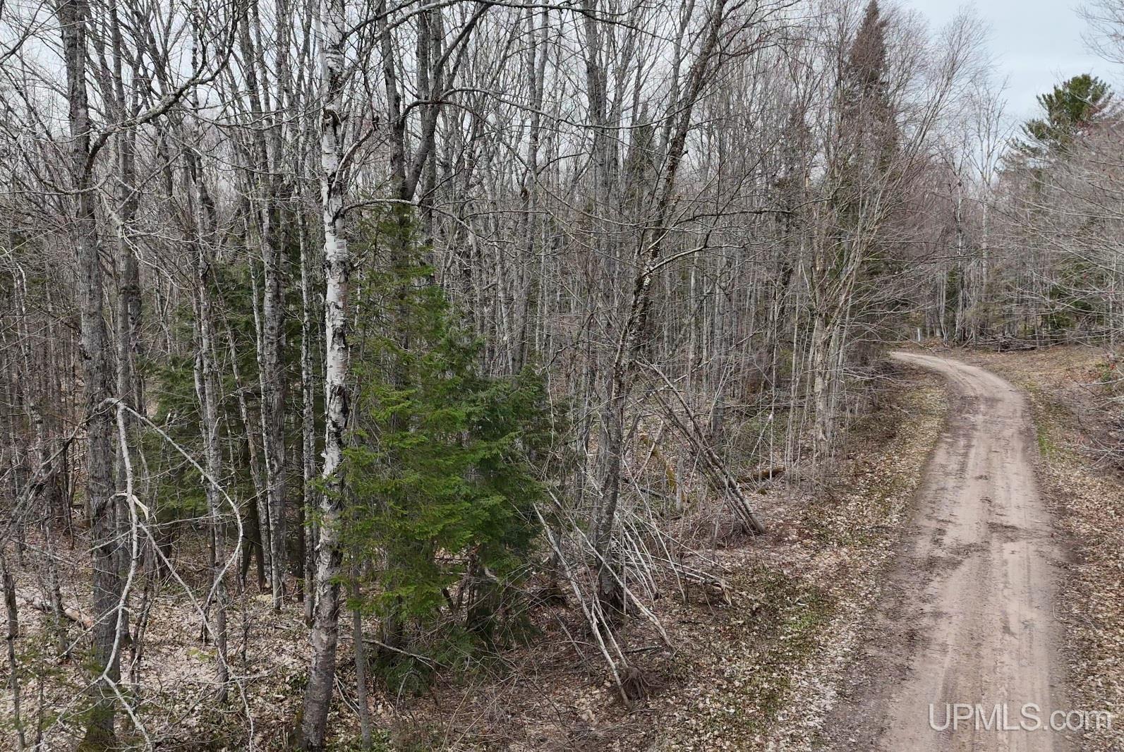 37373 Crooked Road Chassell, MI 49916 - Photo 8 of 24