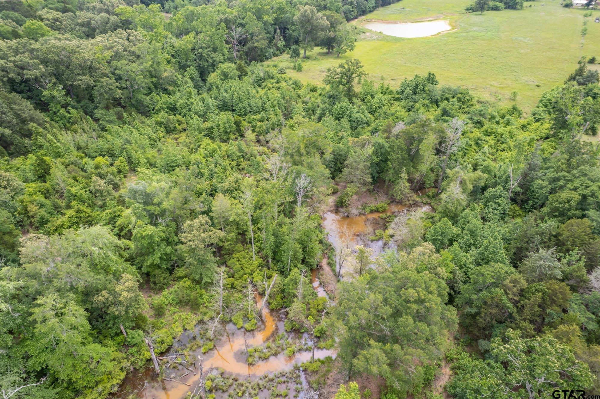 881 VZ County Road Ben Wheeler, TX 75754 - Photo 45 of 47 Gallery Image 45