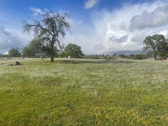 Watts Valley Road Clovis, CA 93619 - Photo 2 of 12 unknown-1