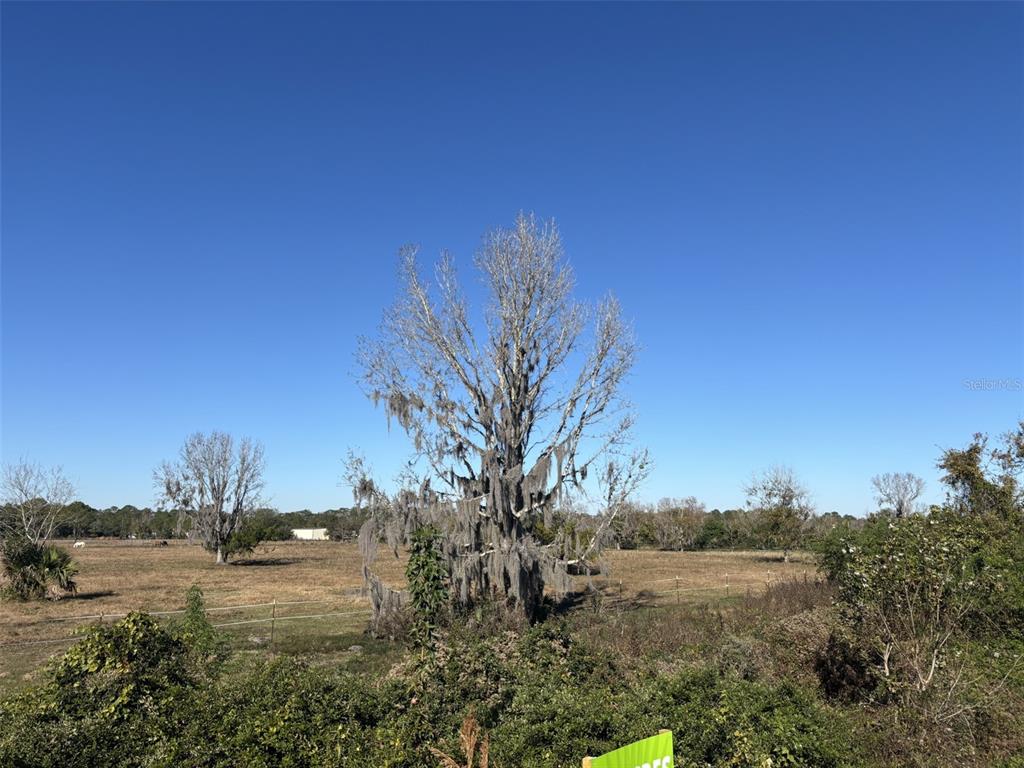 Tomoka Farms Rd Port Port Orange, FL 32128 - Photo 4 of 5 a view of a yard with a tree
