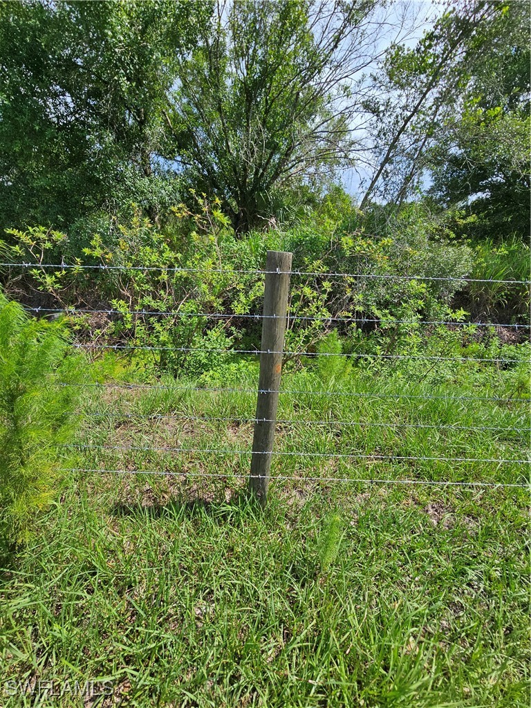 Kirby Thompson Road LaBelle, FL 33935 - Photo 5 of 12