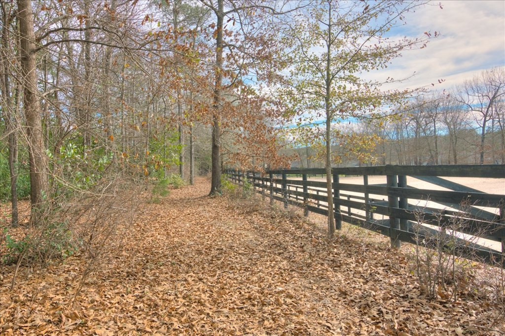 2319 Chukker Creek Road Aiken, SC 29803 - Photo 51 of 68