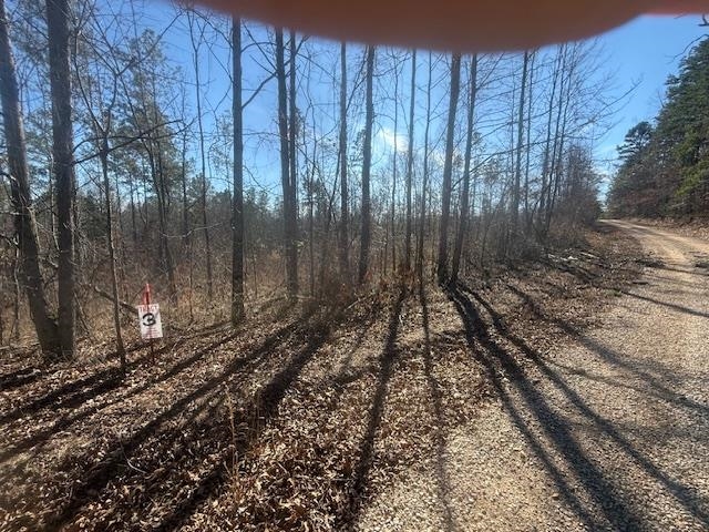 a view of a backyard of the house
