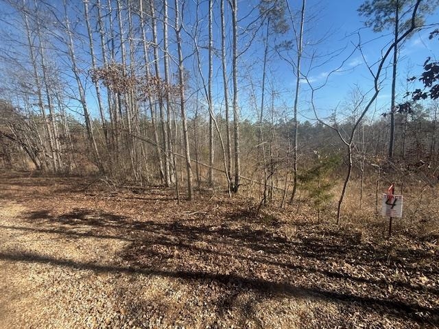 3 George Walter Road Bolivar, TN 38008 - Photo 13 of 15 a view of outdoor space with green space