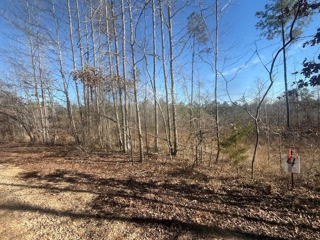 3 George Walter Road Bolivar, TN 38008 - Photo 15 of 15 a view of a backyard of the house