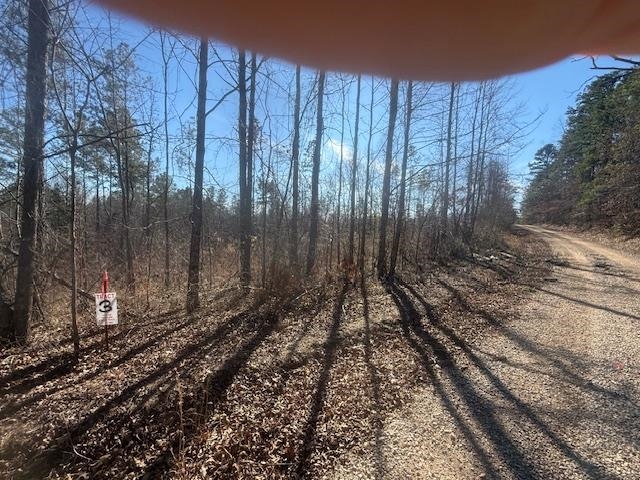 3 George Walter Road Bolivar, TN 38008 - Photo 4 of 15 a view of a backyard of the house