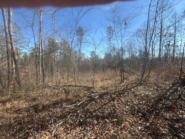 3 George Walter Road Bolivar, TN 38008 - Photo 5 of 15 a view of a yard