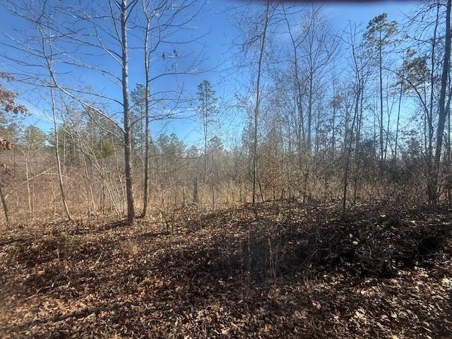 3 George Walter Road Bolivar, TN 38008 - Photo 6 of 15 a view of a backyard of the house