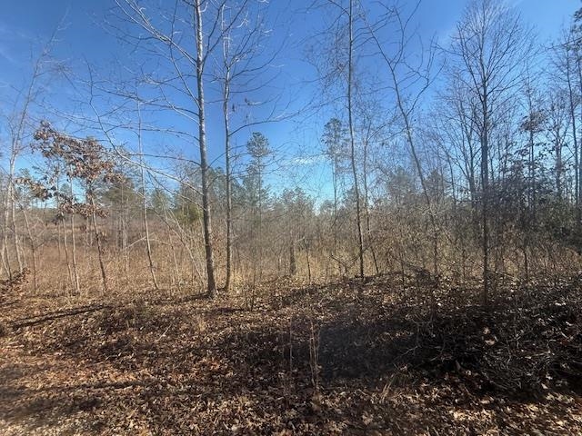 3 George Walter Road Bolivar, TN 38008 - Photo 7 of 15 a view of a backyard of the house