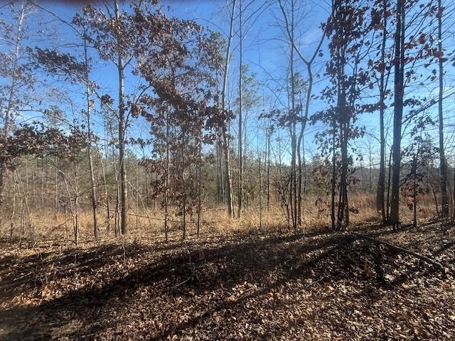 3 George Walter Road Bolivar, TN 38008 - Photo 9 of 15 a view of a yard with large trees