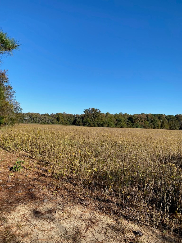 0 Gospel Temple Road Melfa, VA 23410 - Photo 11 of 11