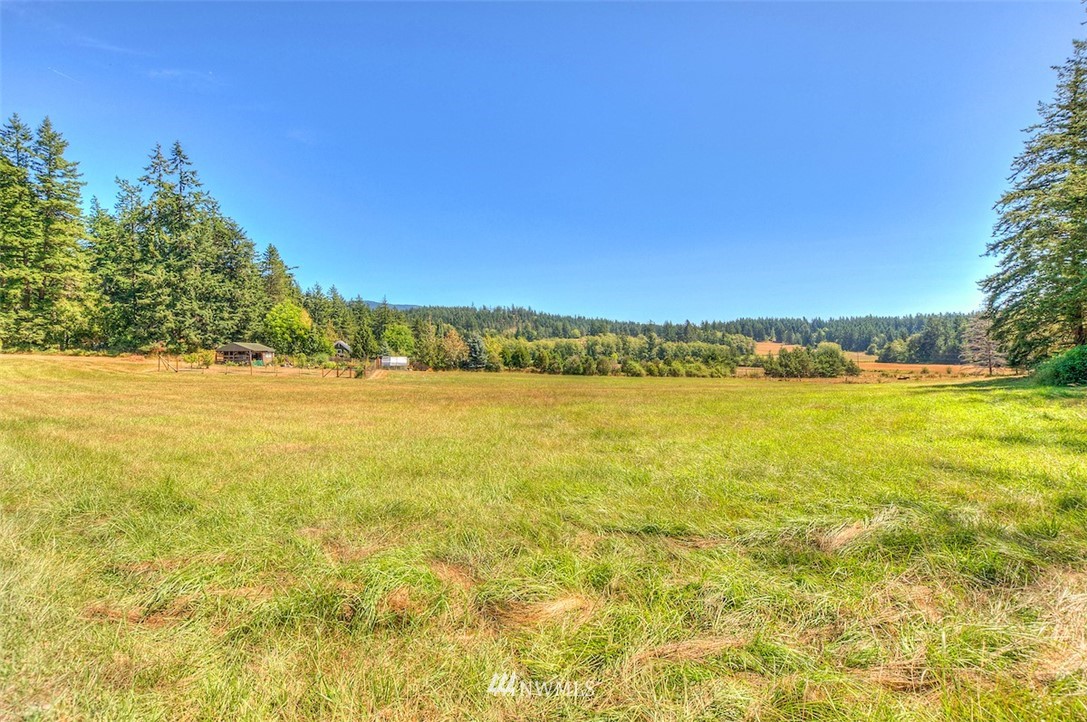 154 Boone's Pond Road Orcas Island, WA 98245 - Photo 6 of 25 Gallery Image 6