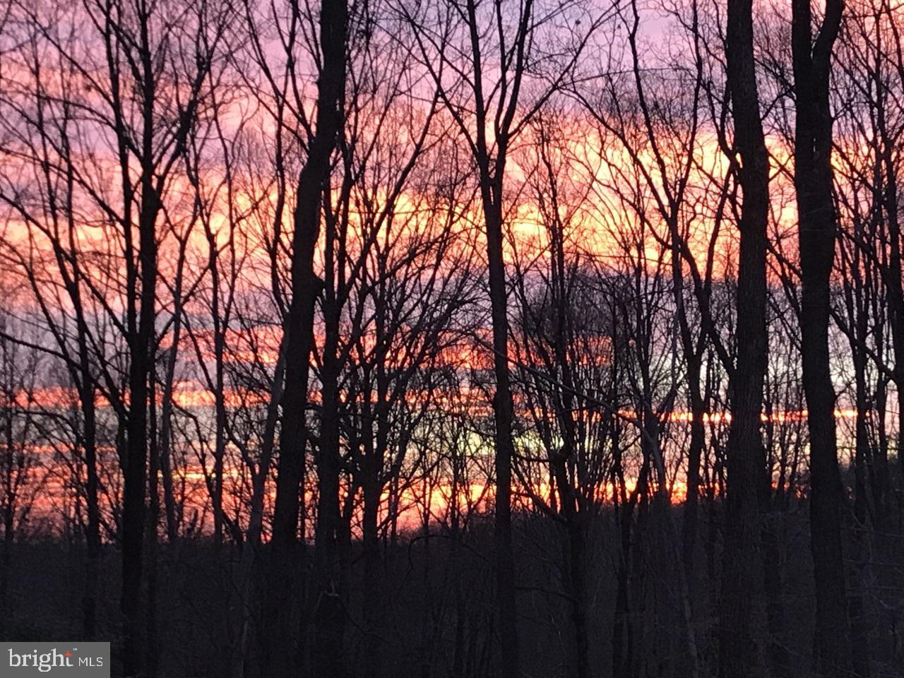 18063 Red Cedar Road Dumfries, VA 22026 - Photo 48 of 69 Beautiful winter and spring sunrises!