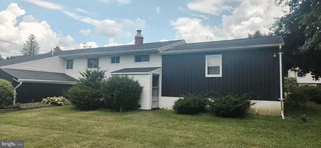 a street view with trees