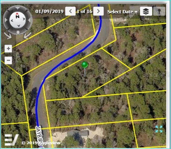 12500 Jaybird Road Weeki Wachee, FL 34614 - Photo 1 of 1 Gallery Image 1