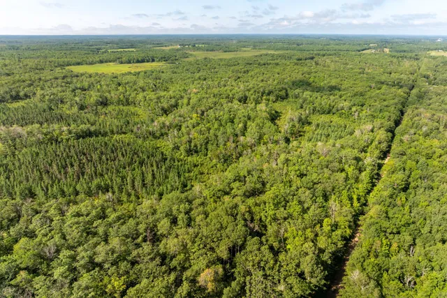 $115,000 | Tbd 359th Street, Aitkin, MN 56431
