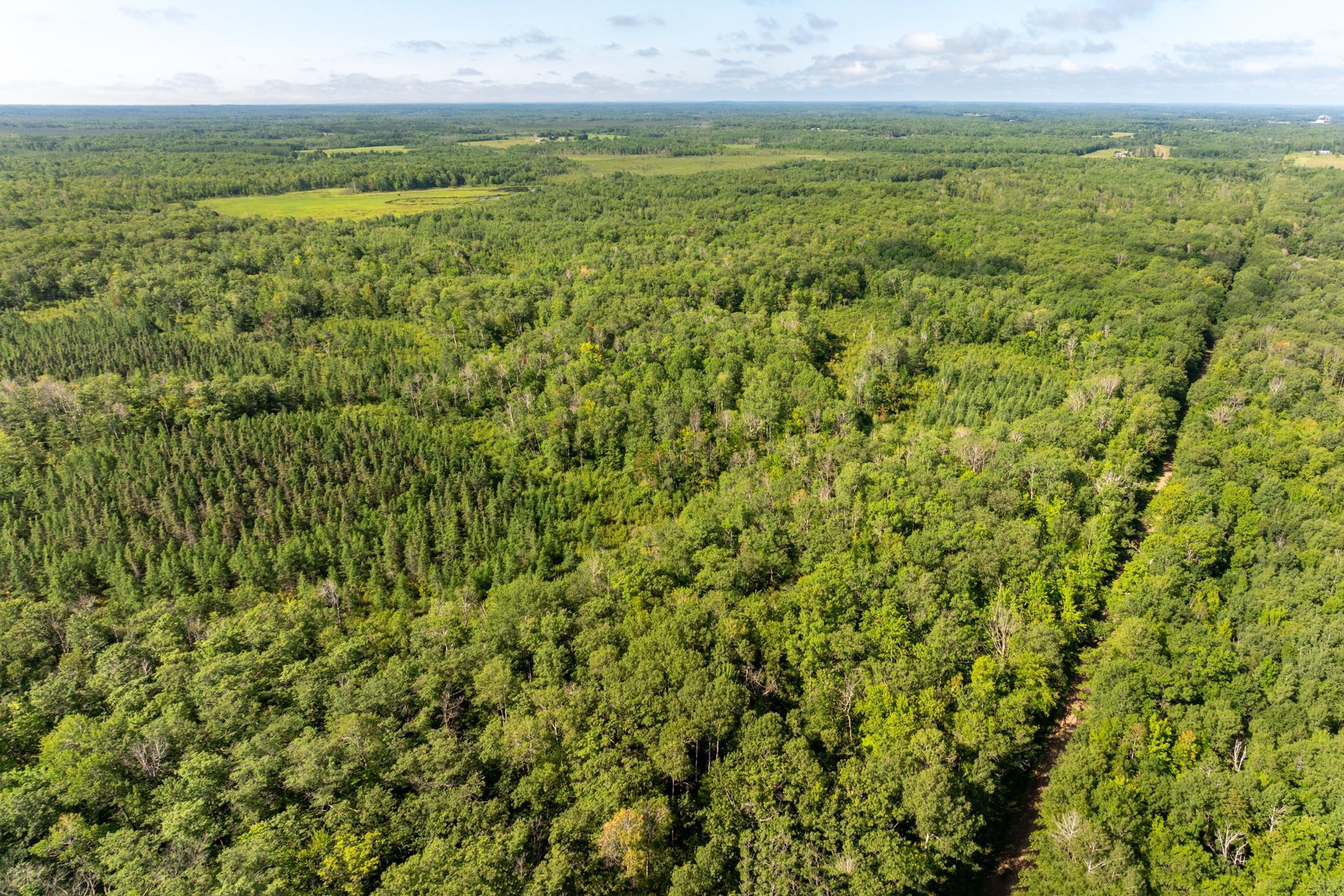 Tbd 359th Street Aitkin, MN 56431 - Photo 11 of 19