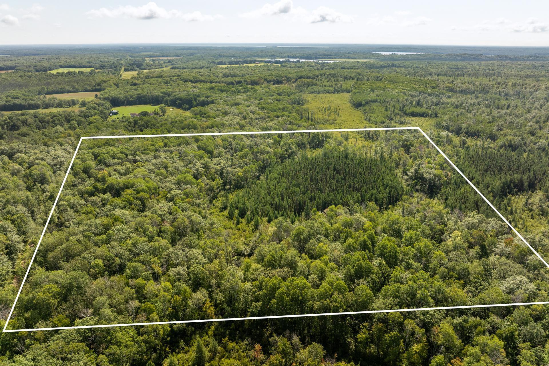 Tbd 359th Street Aitkin, MN 56431 - Photo 12 of 19