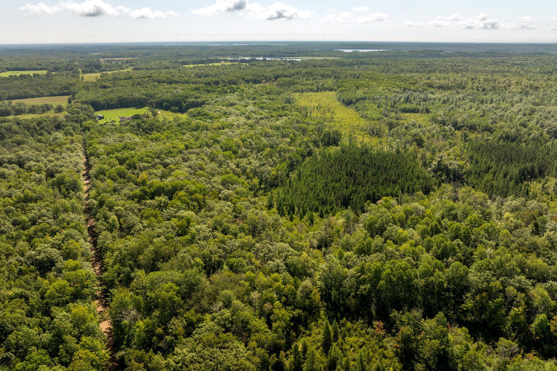 Tbd 359th Street Aitkin, MN 56431 - Photo 13 of 19