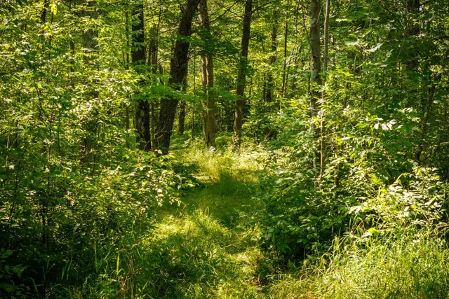 $115,000 | Tbd 359th Street, Aitkin, MN 56431