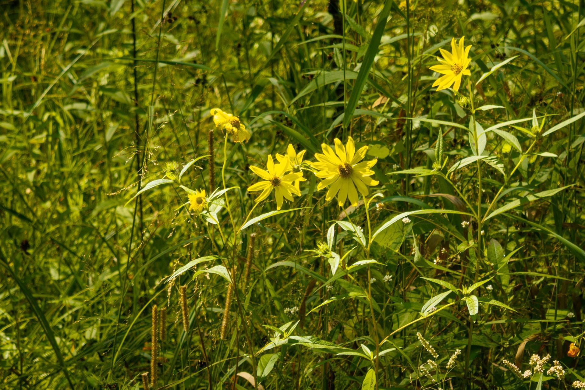 Tbd 359th Street Aitkin, MN 56431 - Photo 17 of 19