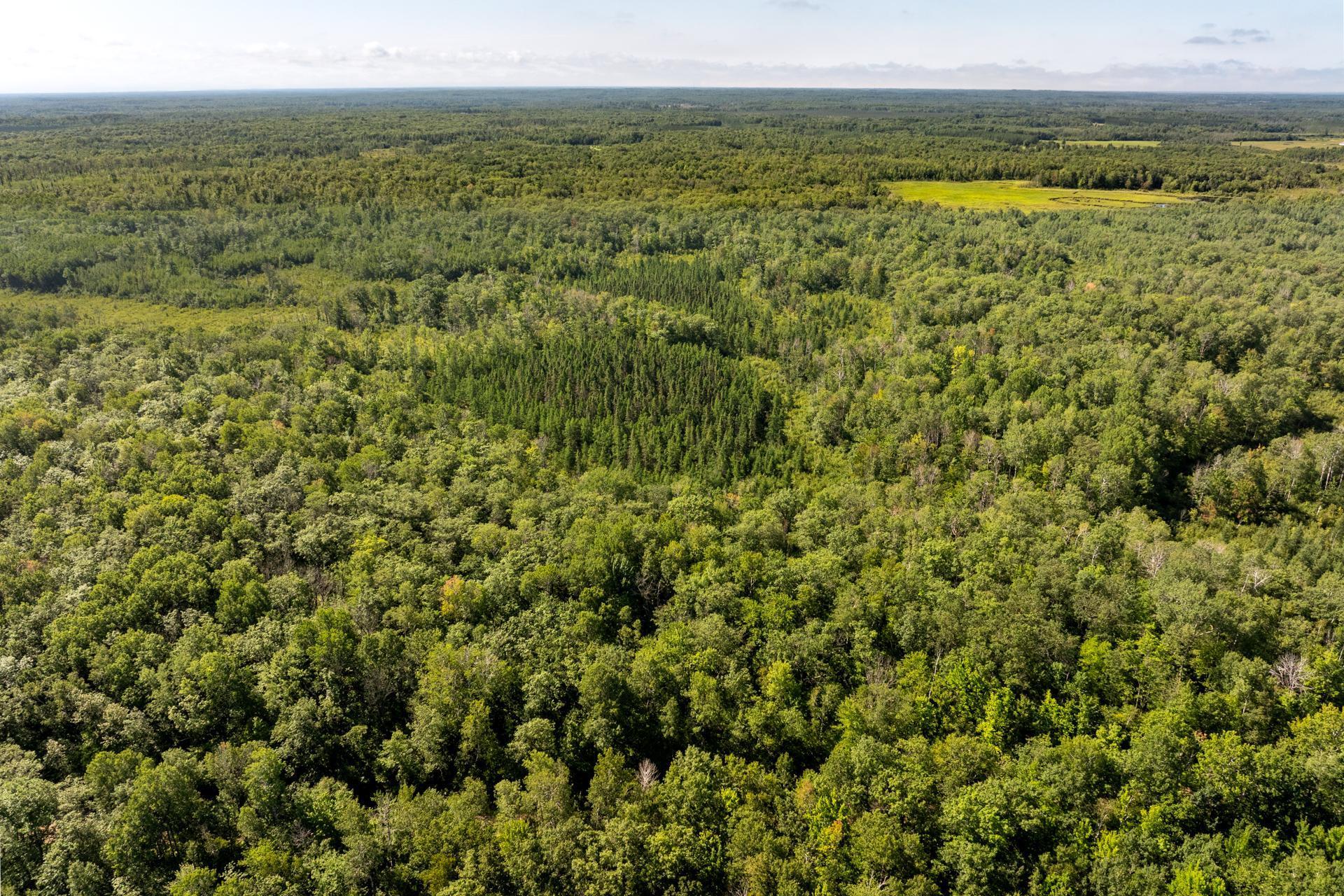 Tbd 359th Street Aitkin, MN 56431 - Photo 18 of 19