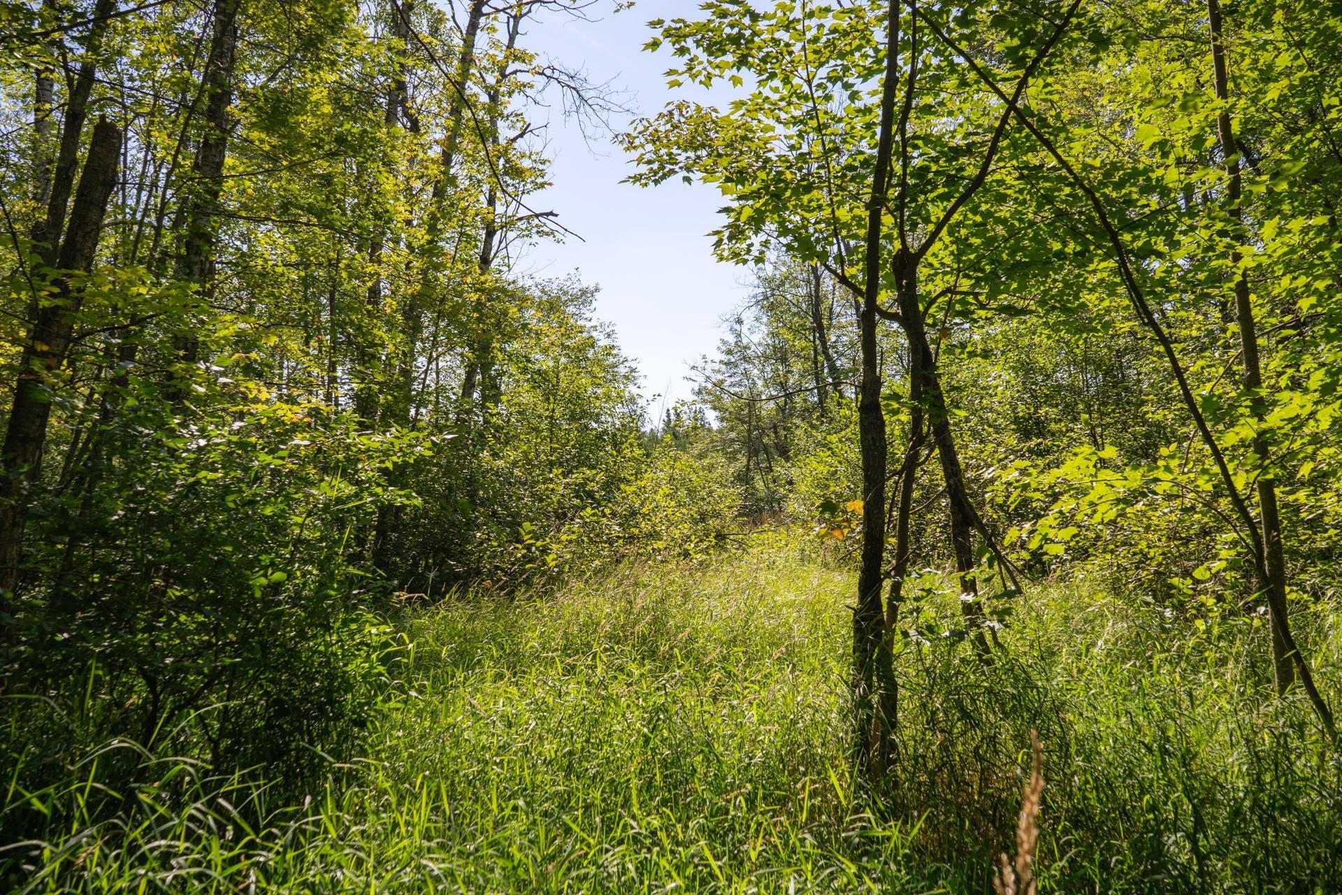 Tbd 359th Street Aitkin, MN 56431 - Photo 19 of 19