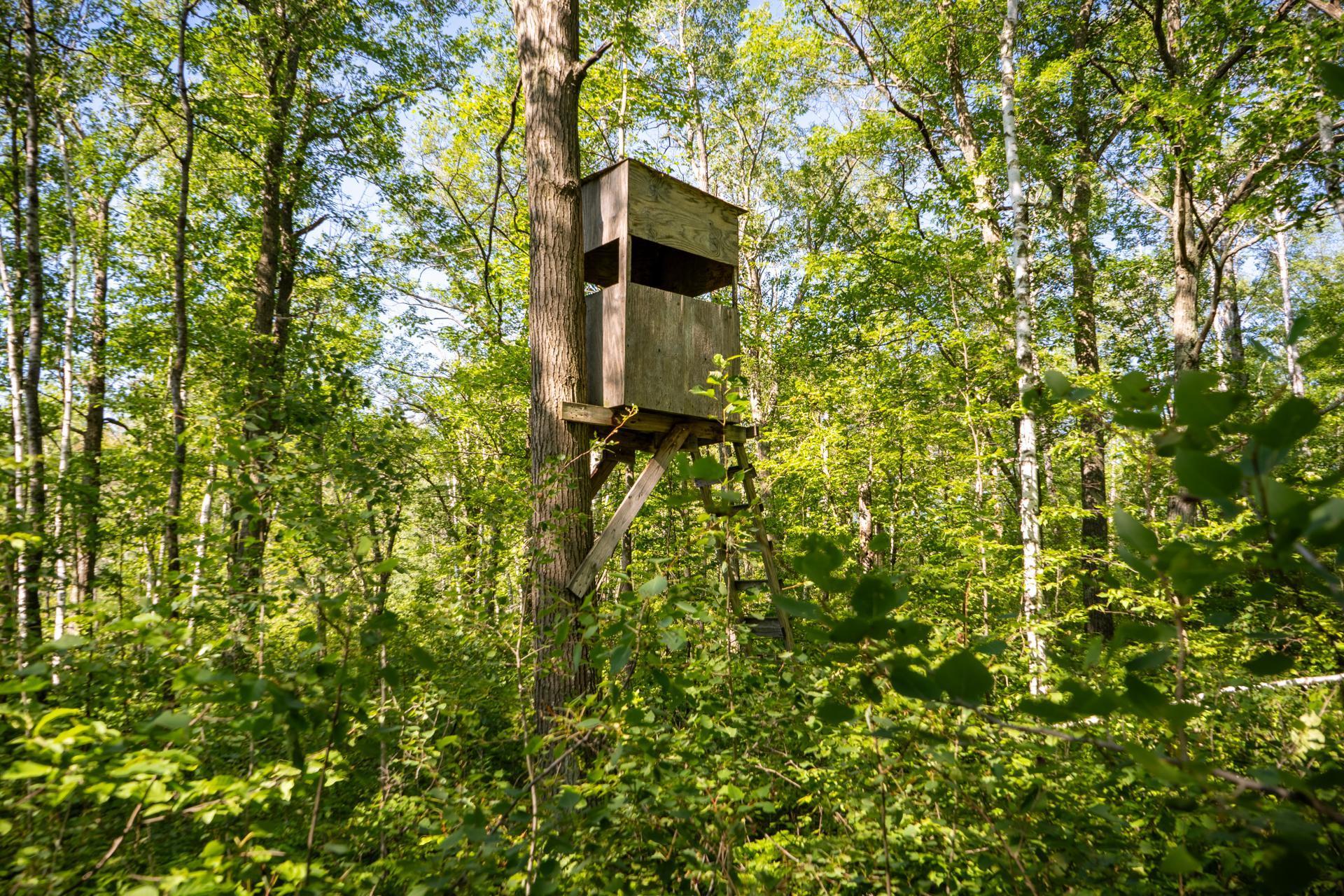 Tbd 359th Street Aitkin, MN 56431 - Photo 3 of 19