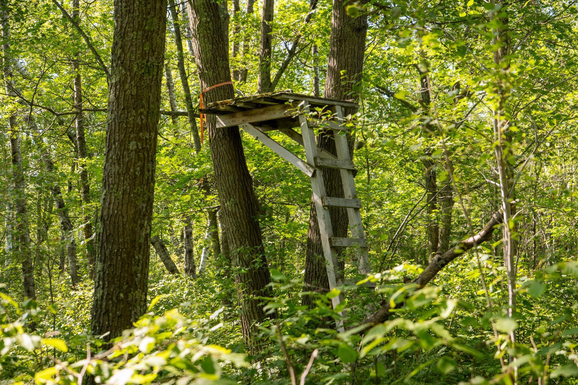 Tbd 359th Street Aitkin, MN 56431 - Photo 5 of 19