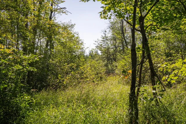 $115,000 | Tbd 359th Street, Aitkin, MN 56431