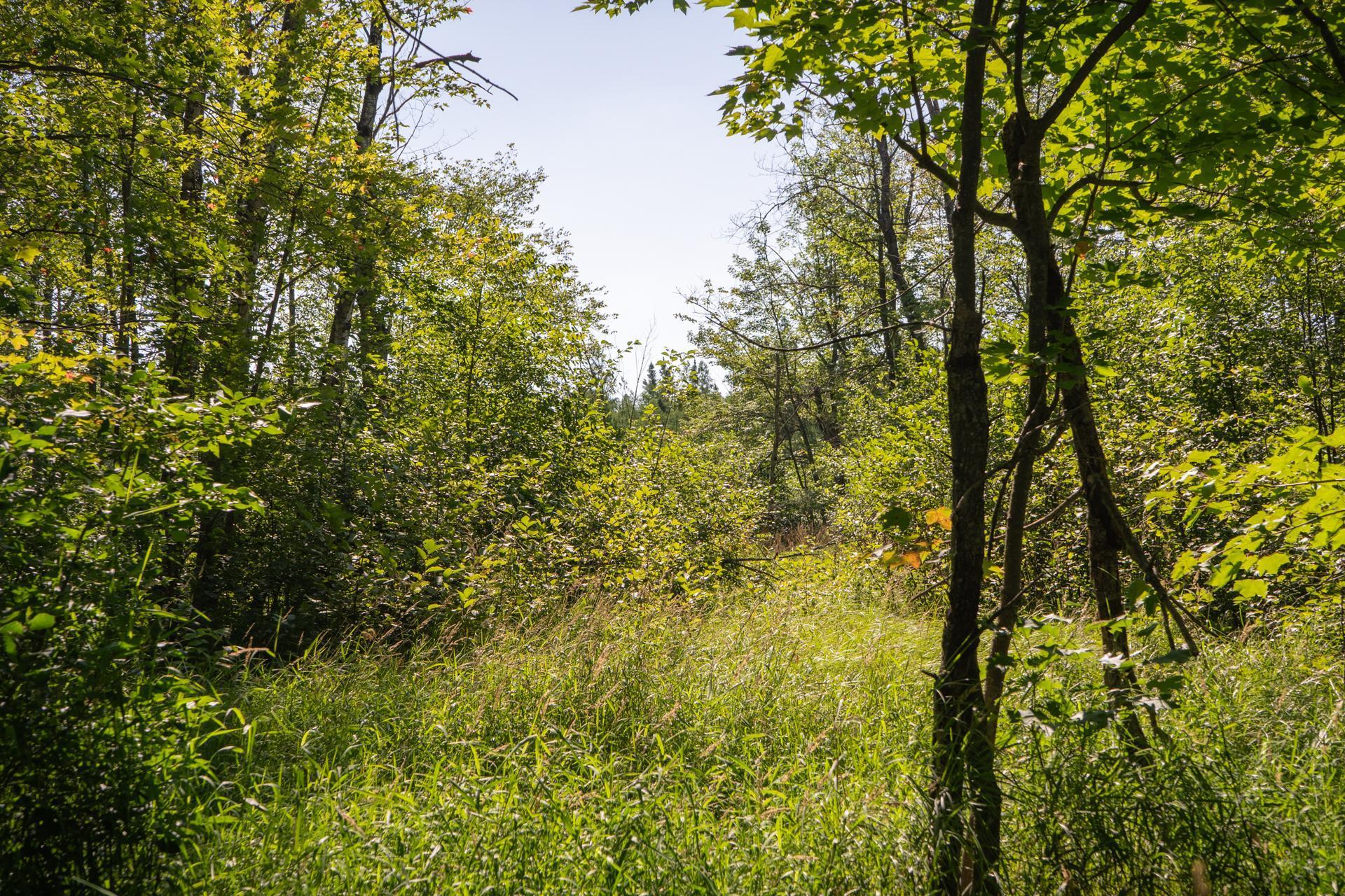 Tbd 359th Street Aitkin, MN 56431 - Photo 6 of 19