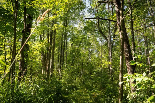 $115,000 | Tbd 359th Street, Aitkin, MN 56431