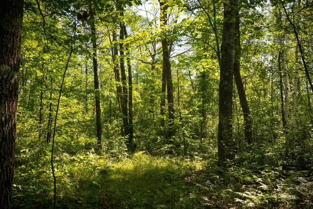 $115,000 | Tbd 359th Street, Aitkin, MN 56431