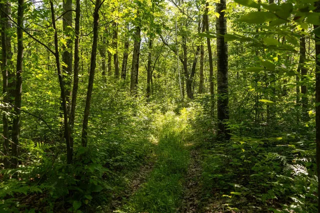 $115,000 | Tbd 359th Street, Aitkin, MN 56431