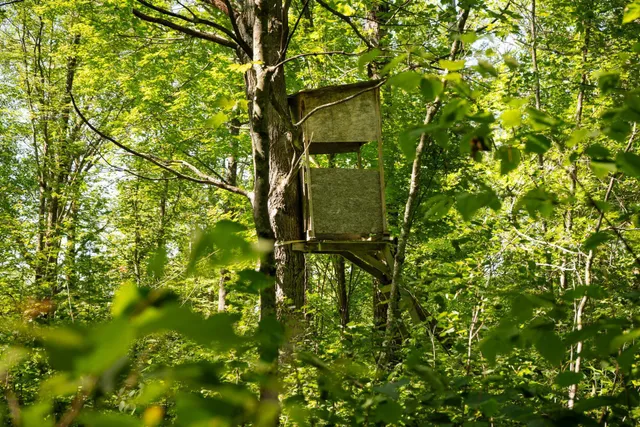 $115,000 | Tbd 359th Street, Aitkin, MN 56431