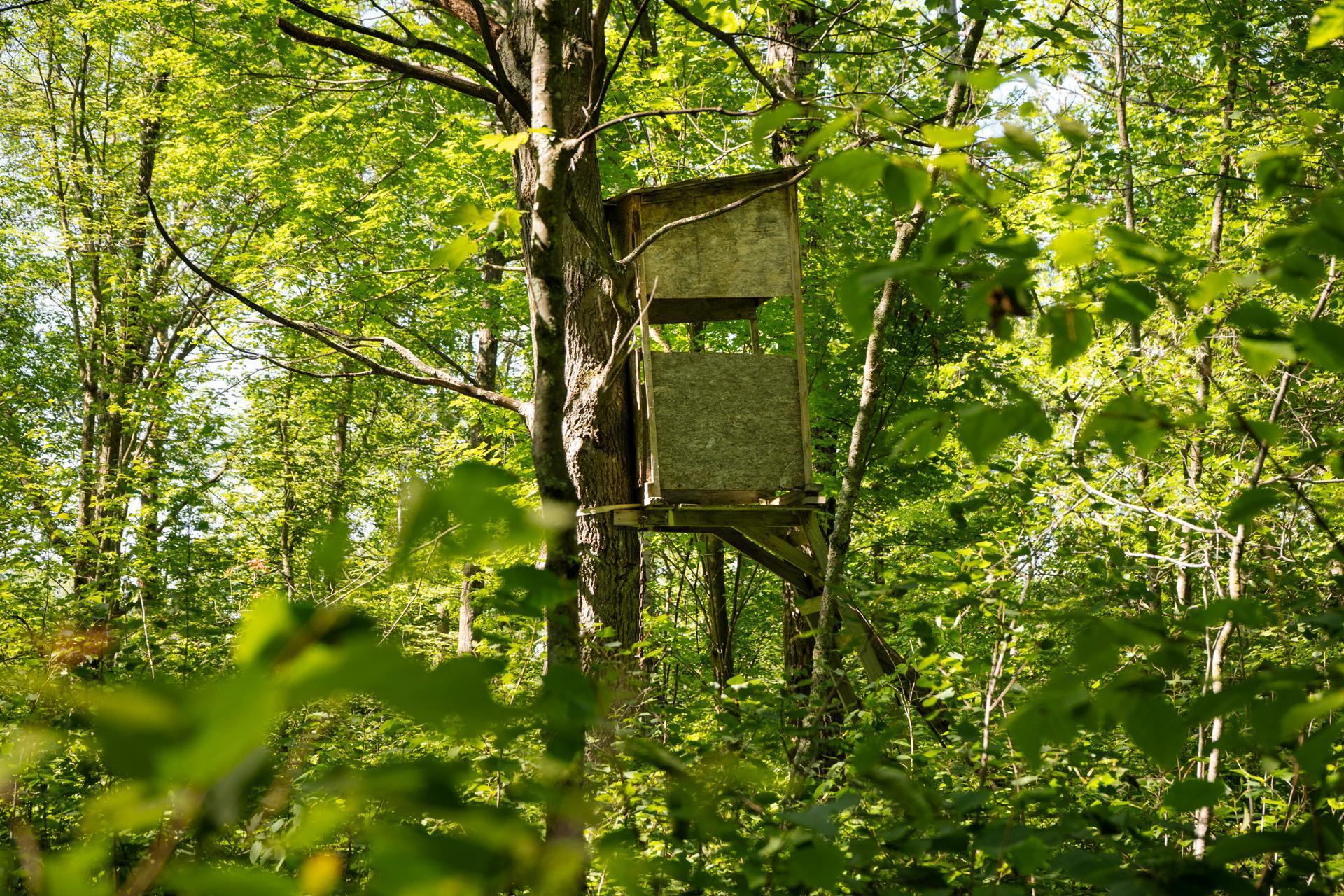 Tbd 359th Street Aitkin, MN 56431 - Photo 10 of 19