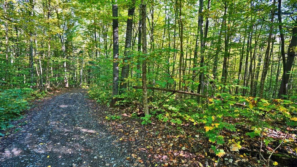L 31-bates L 31-bates Ridge Road Houlton, ME 04730 - Photo 25 of 59 bates-ridge-linneus-me-18