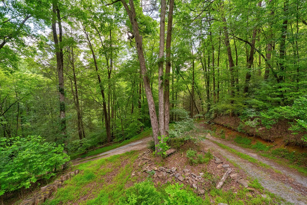 1 Cadmans Hammock Blue Ridge, GA 30513 - Photo 37 of 43 Gallery Image 37