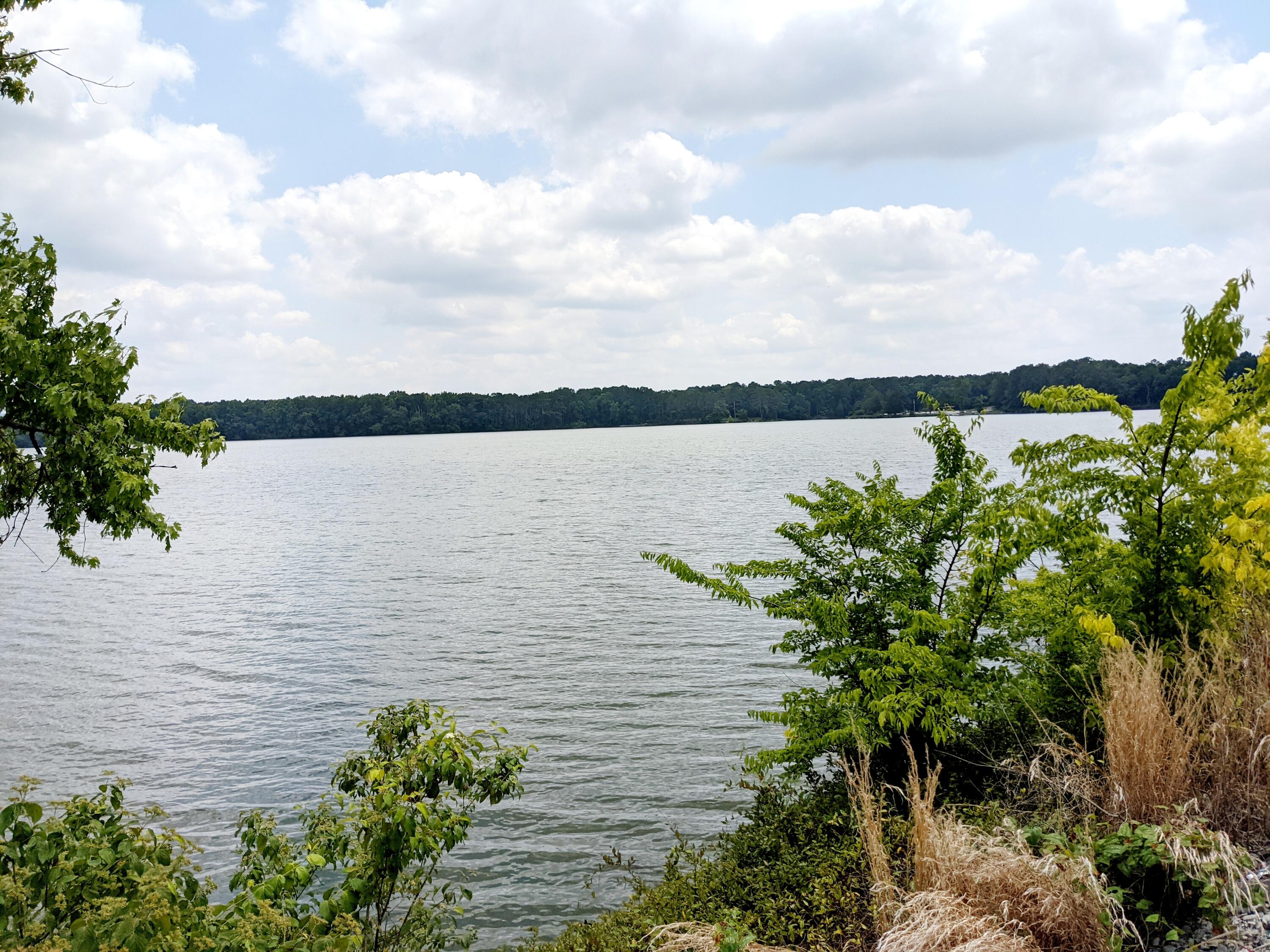 5755 Aedc Road Estill Springs, TN 37330 - Photo 20 of 36 PXL_20220613_183447544