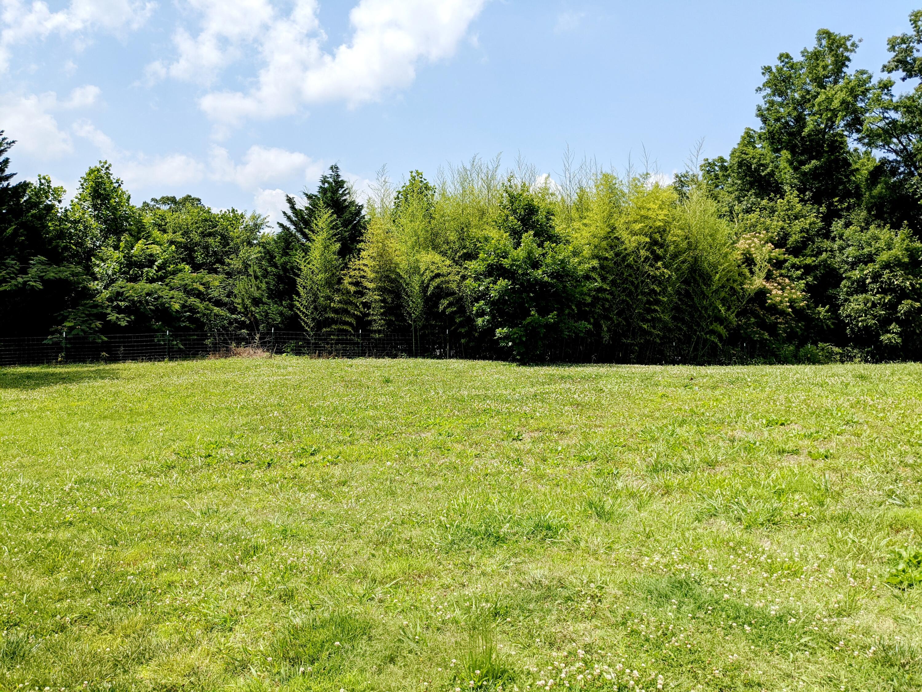 5755 Aedc Road Estill Springs, TN 37330 - Photo 25 of 36 PXL_20220613_191940633