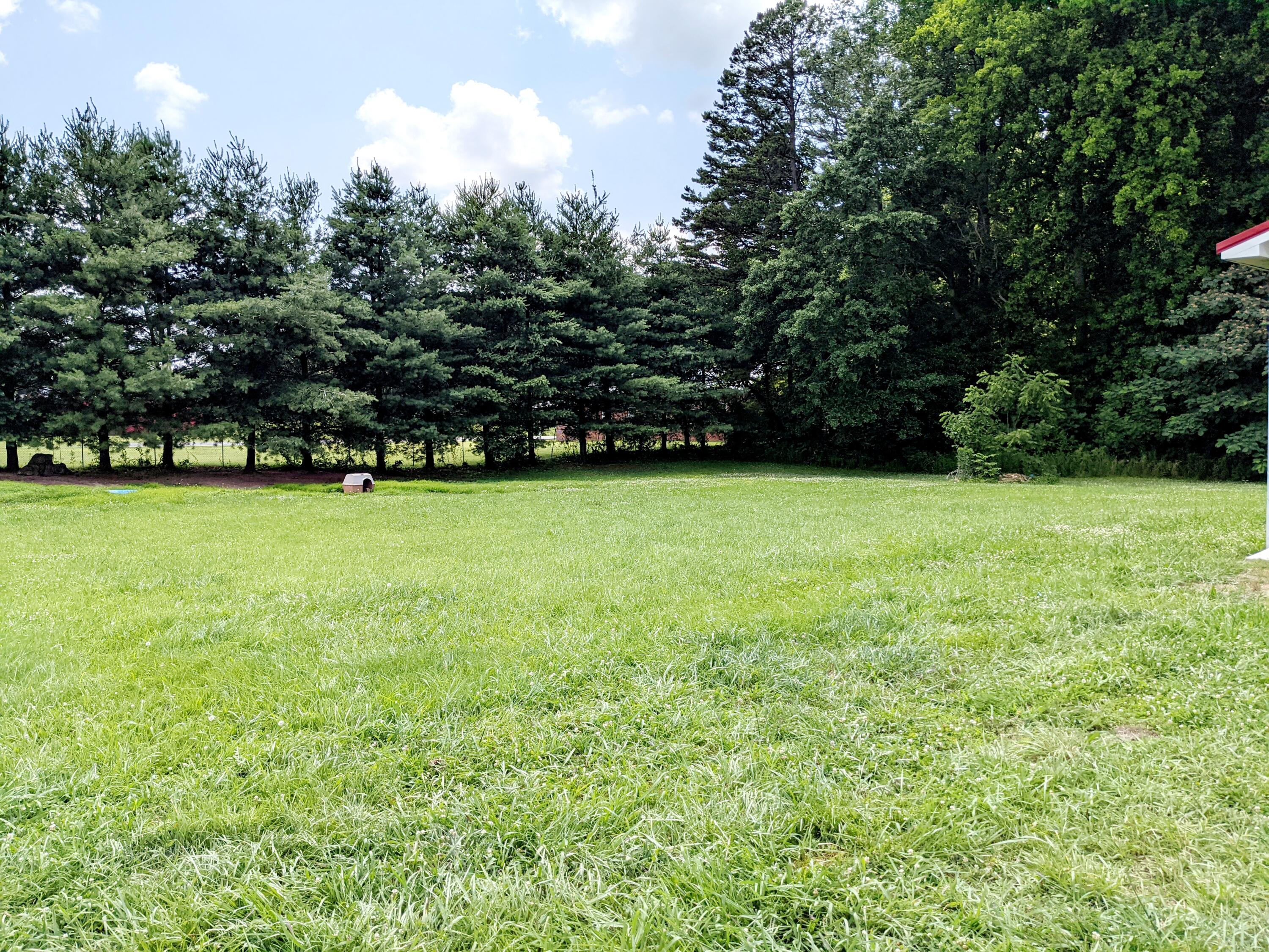 5755 Aedc Road Estill Springs, TN 37330 - Photo 33 of 36 PXL_20220613_191846411
